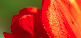 无限循环呼叫短信软件